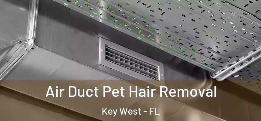 Air Duct Pet Hair Removal Key West - FL
