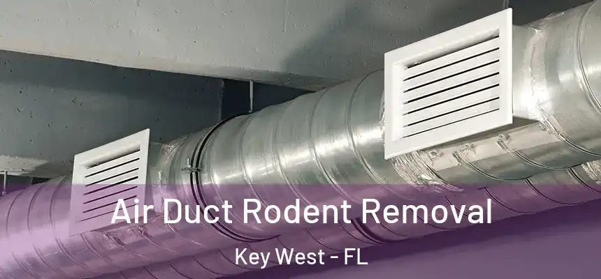 Air Duct Rodent Removal Key West - FL