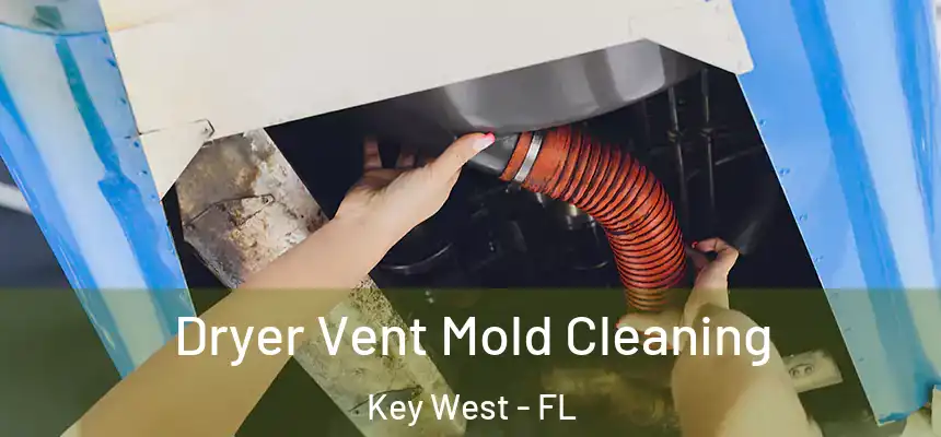 Dryer Vent Mold Cleaning Key West - FL