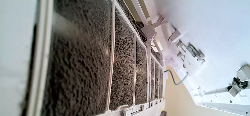 Preventive Air Duct Bacteria Removal in Key West