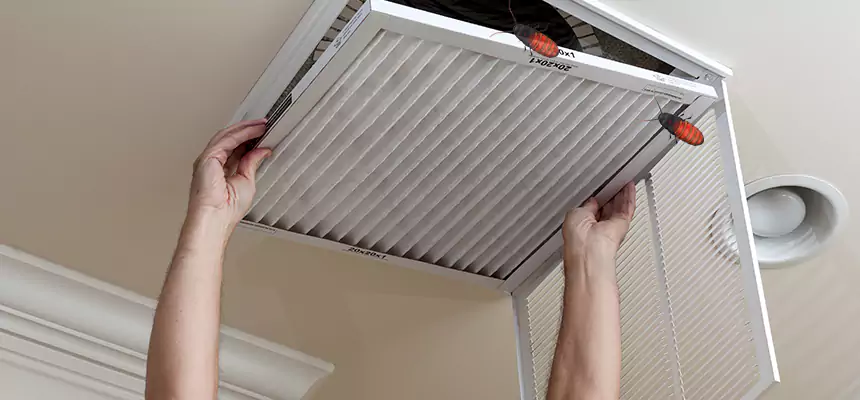 Preventive Cockroach-Proofing for Ducts in Key West