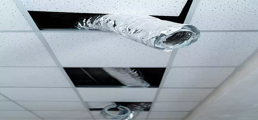 Our Air Duct Pet Hair Removal Services in Key West, FL