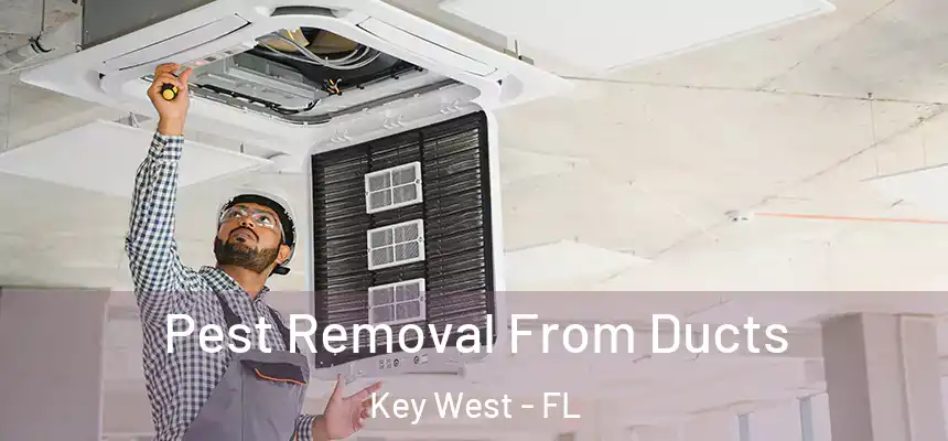Pest Removal From Ducts Key West - FL