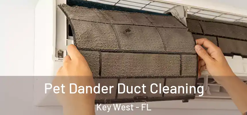 Pet Dander Duct Cleaning Key West - FL