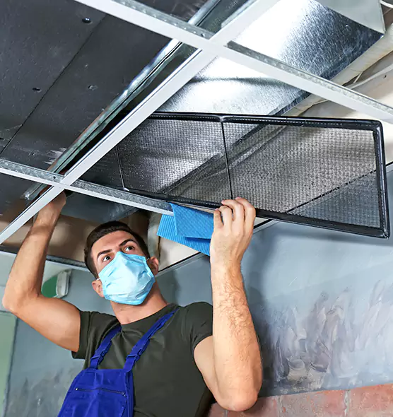 About Air Duct Bacteria Removal in Key West