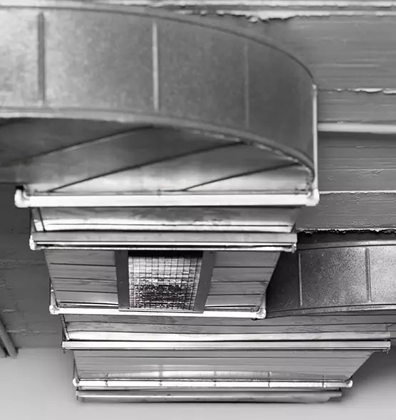 Professional Air Duct Pest Removal in Key West, FL