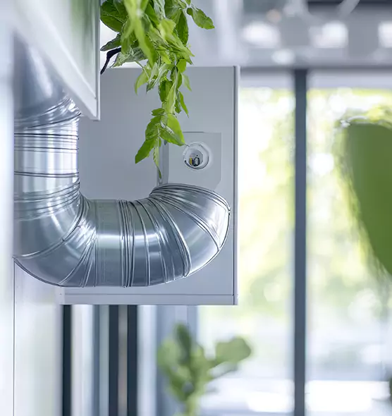 Professional Eco-Safe Dryer Vent Cleaning in Key West, FL