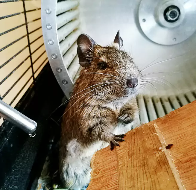 Why Homeowners & Businesses Trust Us Key West, FL?