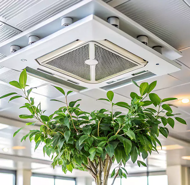 Why Homeowners & Businesses Trust Us in Key West, FL