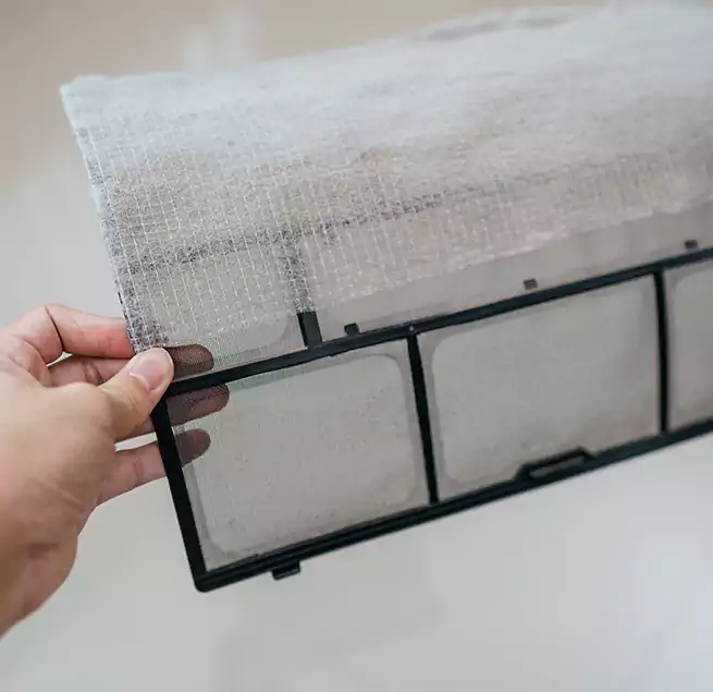 Why Homeowners & Businesses Trust Us in Key West, FL?