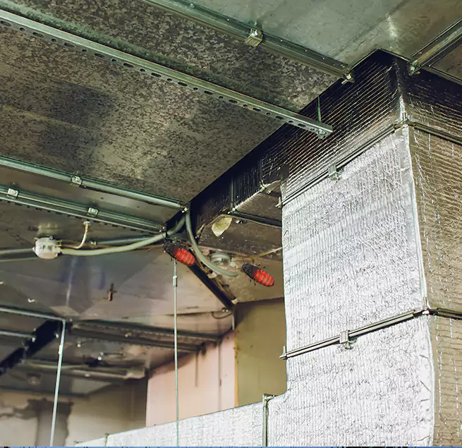 Why Homeowners & Businesses Trust Us Key West, FL?