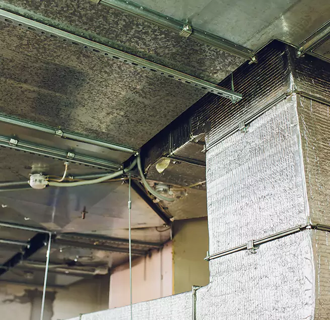 Why Homeowners & Businesses Trust Us in Key West, FL?