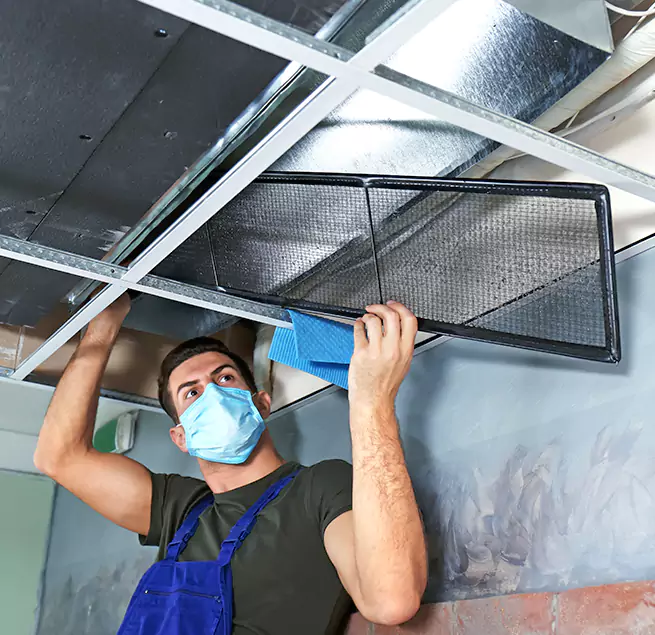 Why Homeowners Businesses Trust Us in Key West, FL?